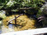 02-Aug-2000
Butchart Gardens - Victoria, BC 
Japanese Garden