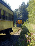 02-Aug-2000
Victoria, BC 
Pacific Wilderness Railway at Malahat summit