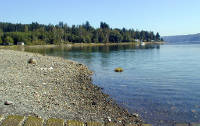 03-Aug-2000
Washington (State)
Waterfront of Hood Canal near Olympia