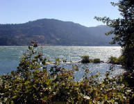 03-Aug-2000
Washington (State)
The view across the Columbia River