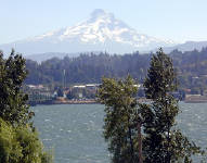03-Aug-2000
Washington (State)
The view across the Columbia River to Mount Hood