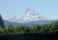 03-Aug-2000
Oregon (State)
Mount Hood