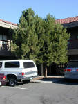04-Aug-2000
Bend., OR
Best Western, Bend