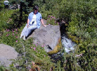 04-Aug-2000
Crater Lake, OR
Castle Crest Wildflower Trail