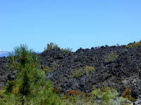 05-Aug-2000
Lavaland, OR
End of the lava bed