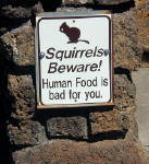 05-Aug-2000
Lavaland, OR
Squirrels beware