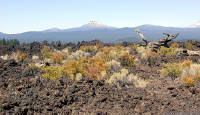 05-Aug-2000
Lavaland, OR
Lava Bed and Mount Bachelor