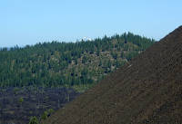 05-Aug-2000
Lavaland, OR
The side of the Lava Butte