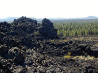 05-Aug-2000
Lavaland, OR
Lava field