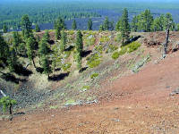 05-Aug-2000
Lavaland, OR
Lava Butte - The Caldera