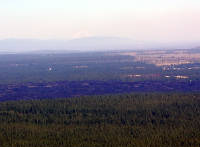 05-Aug-2000
Lavaland, OR
Mount Hood from Lava Butte