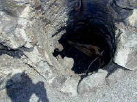 05-Aug-2000
Lava Cast Forest, OR
Lava cast of tree trunk