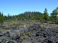 05-Aug-2000
Lava Cast Forest, OR
Lava flow