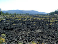 05-Aug-2000
Lava Cast Forest, OR
Barren lava flow