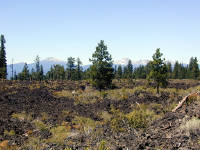 05-Aug-2000
Lava Cast Forest, OR
Lava field and snow covered mountains