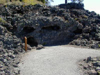 05-Aug-2000
Lava Cast Forest, OR
Horizontal tree cast