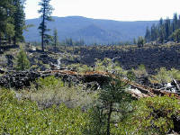 05-Aug-2000
Lava Cast Forest, OR
Lava Cast Trail