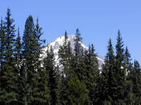 06-Aug-2000
Mount Hood, OR
Mount Hood from the South