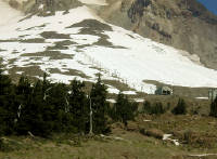 06-Aug-2000
Mount Hood, OR
Summer skiing