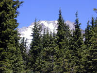 06-Aug-2000
Mount Hood, OR
Mt Hood