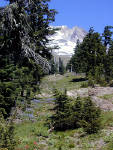06-Aug-2000
Mount Hood, OR
Mt Hood