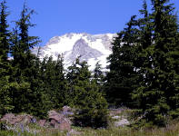 06-Aug-2000
Mount Hood, OR
Mt. Hood